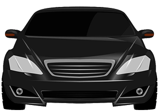 Быстрый трансфер Altai Palace